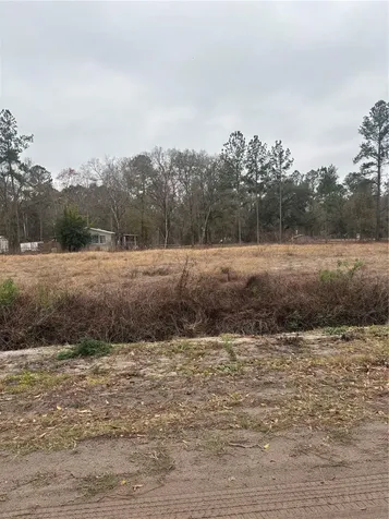 9600 Light Avenue Hastings FL 32145