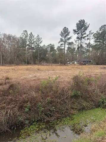 9600 Light Avenue Hastings FL 32145