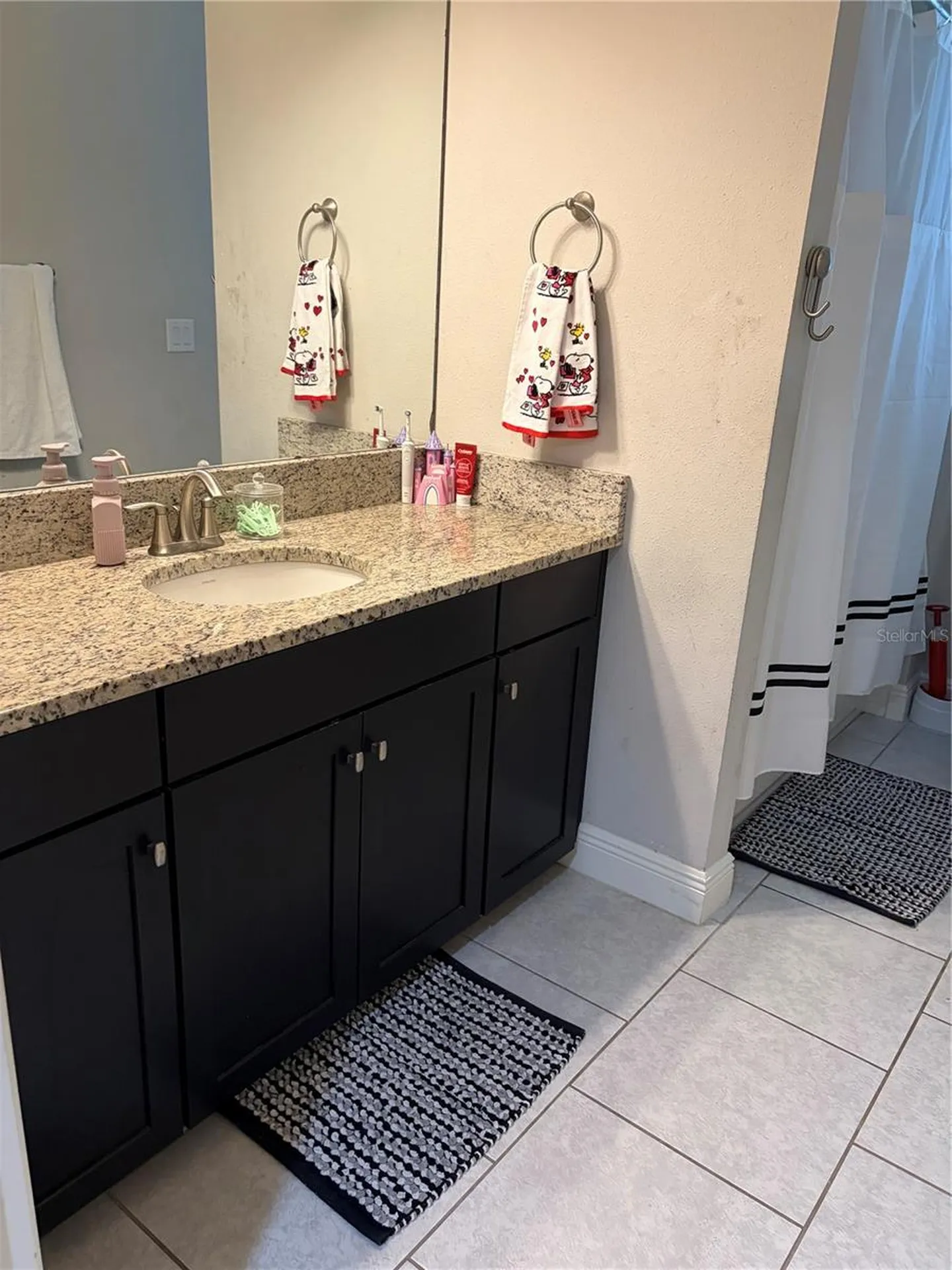 12413 Bay Estuary Bend Riverview FL 33579