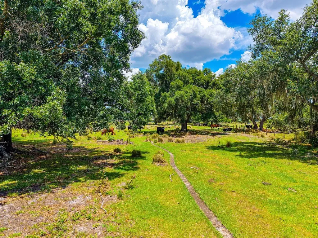 3030 N Nursery Road Zolfo Springs FL 33890