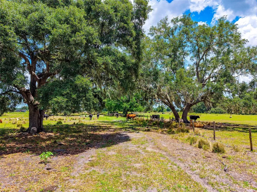 3030 N Nursery Road Zolfo Springs FL 33890