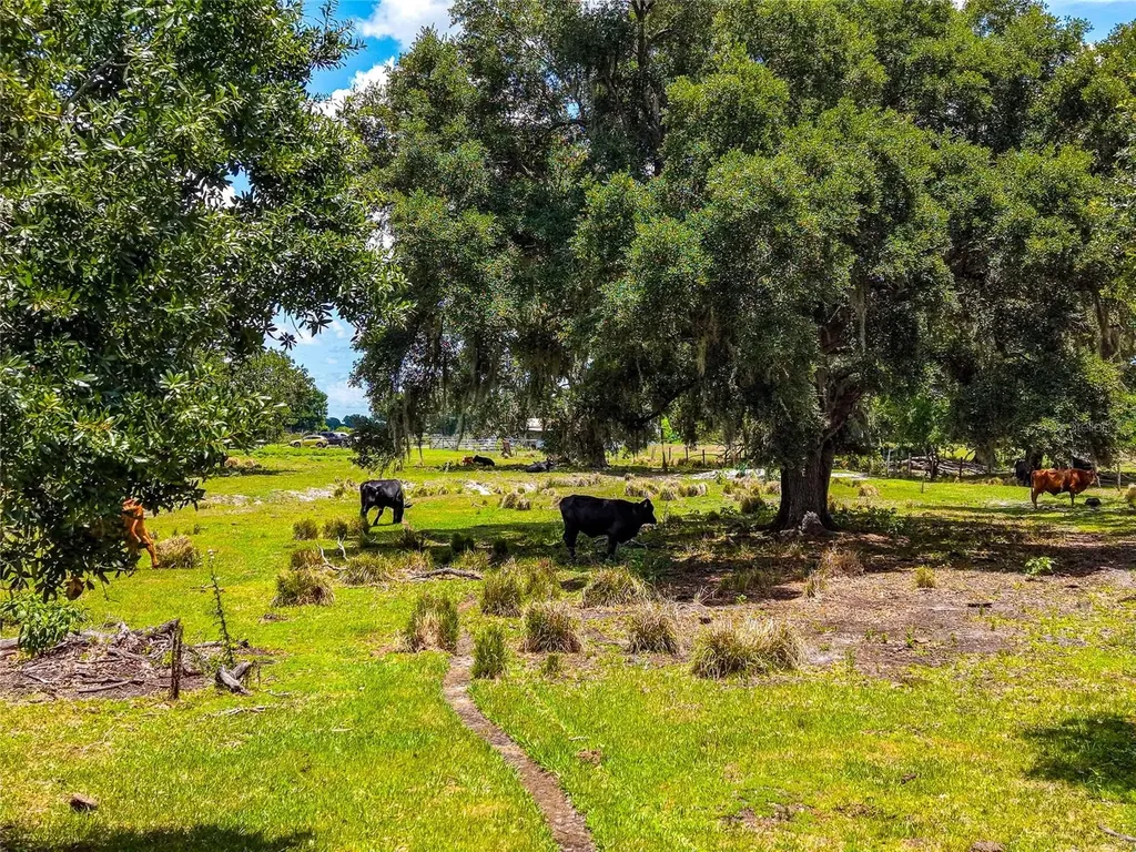 3030 N Nursery Road Zolfo Springs FL 33890