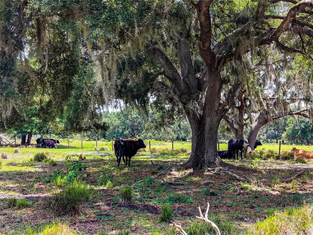 3030 N Nursery Road Zolfo Springs FL 33890
