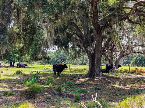 3030 N Nursery Road Zolfo Springs FL 33890