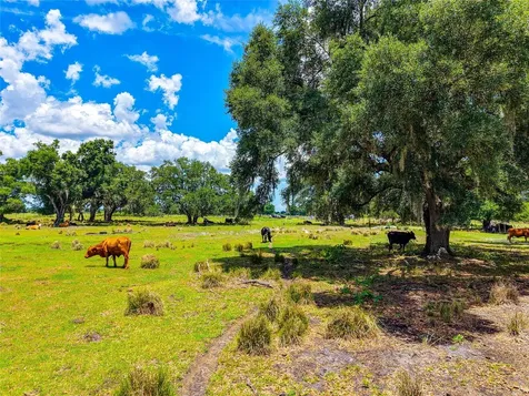 3030 N Nursery Road Zolfo Springs FL 33890