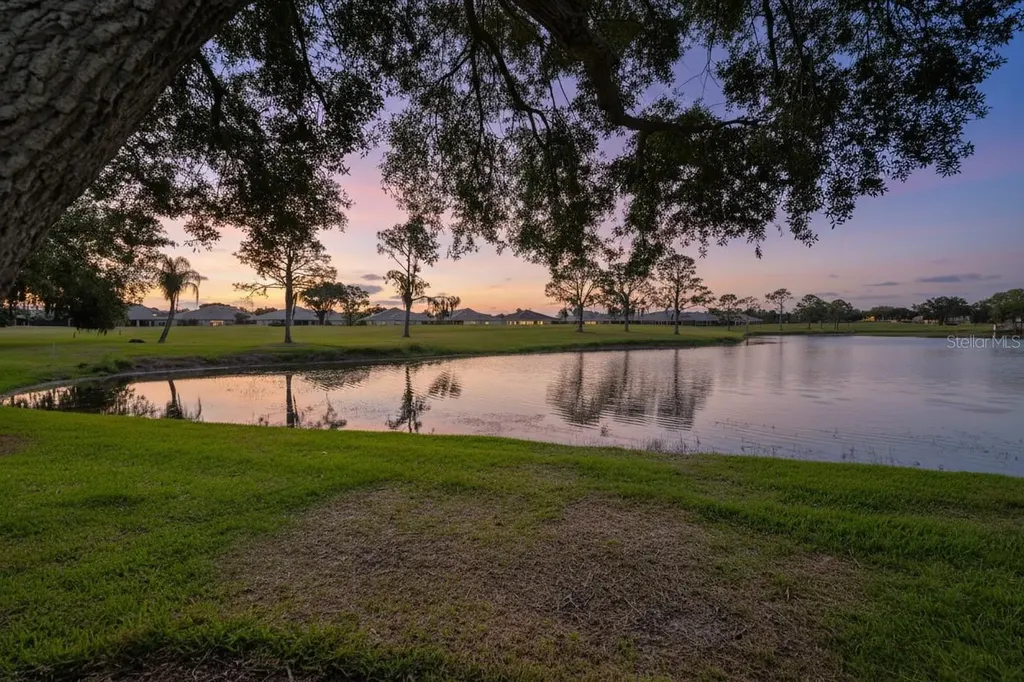951 Villeroy Greens Drive Sun City Center FL 33573