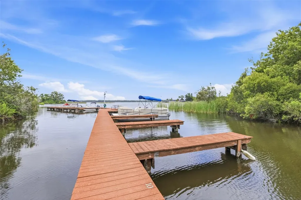2533 Dolly Bay Drive Palm Harbor FL 34684