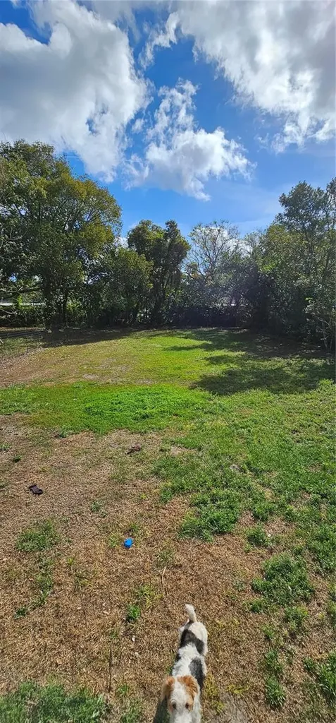 133 Lucie Avenue Deland FL 32720