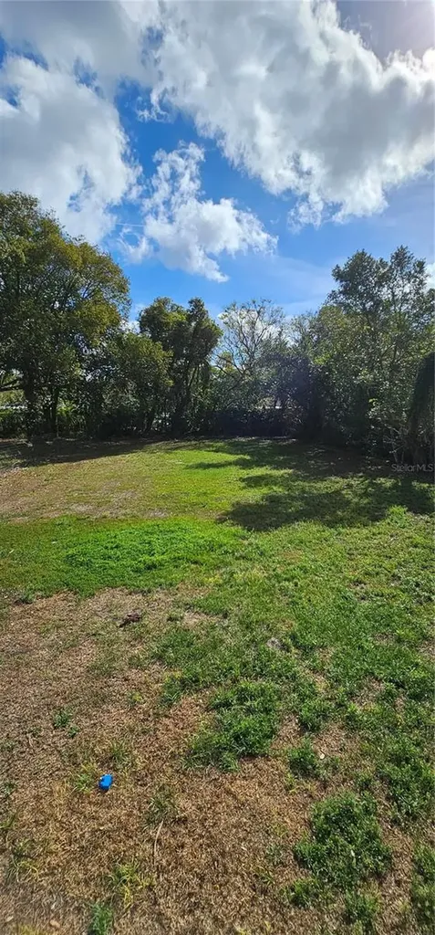 133 Lucie Avenue Deland FL 32720