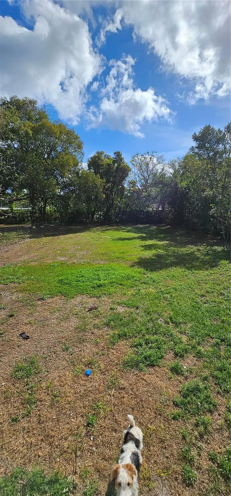 133 Lucie Avenue Deland FL 32720