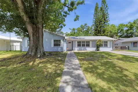 4612 Snook Drive Tampa FL 33617