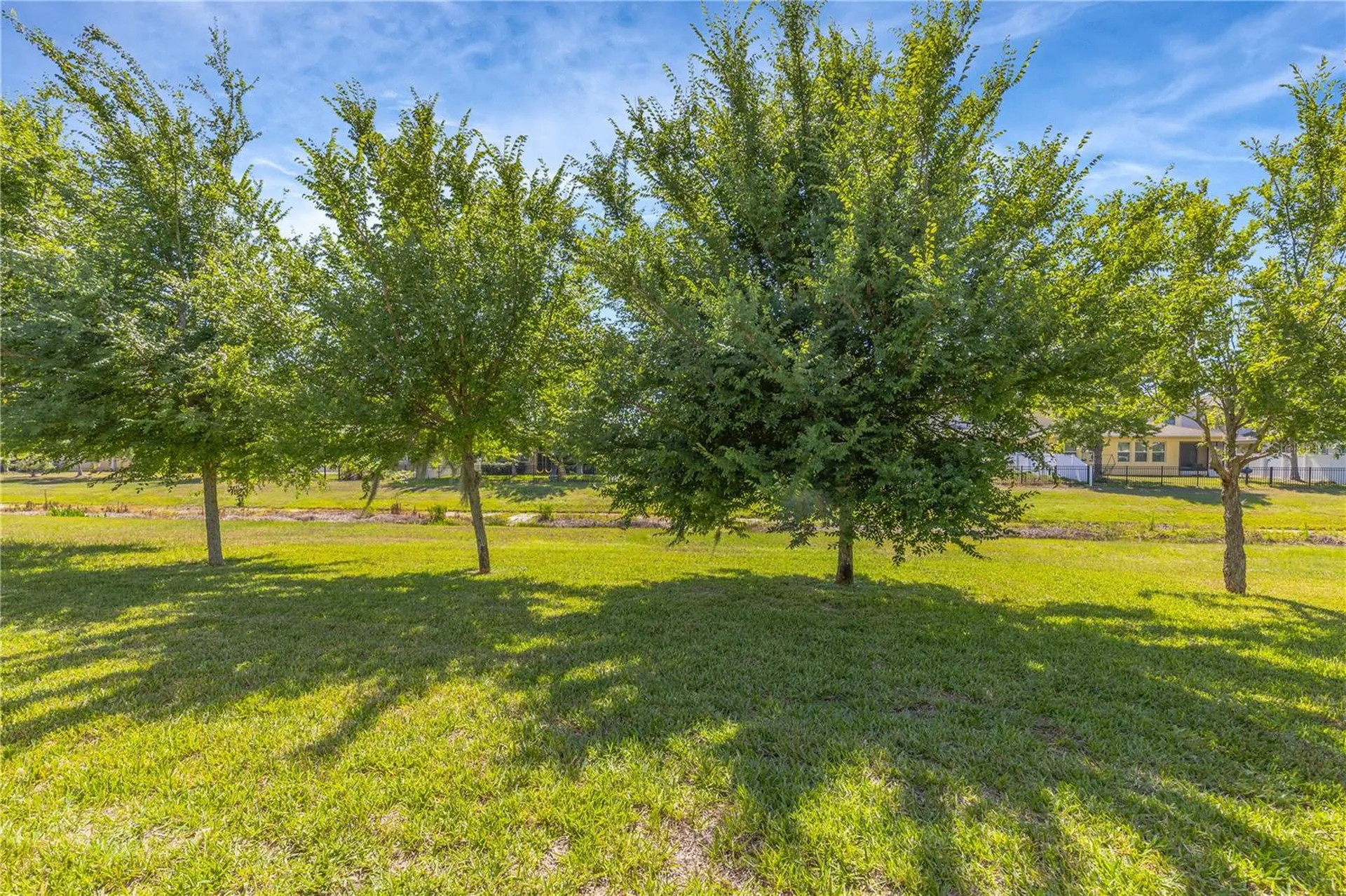 11607 Warren Oaks Place Riverview FL 33578