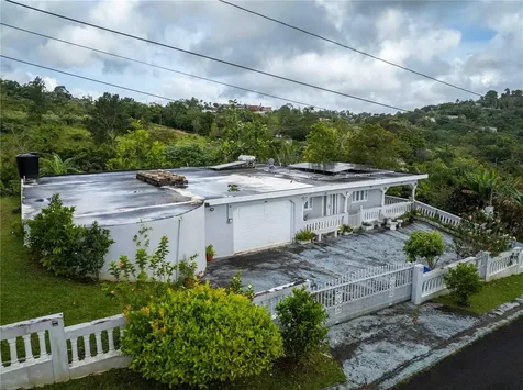 Carr 7765 Km. 7.8 Bo. San Salvador Sector Hato Arriba Caguas PR 00725