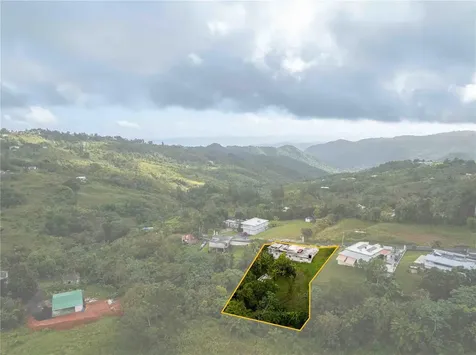 Carr 7765 Km. 7.8 Bo. San Salvador Sector Hato Arriba Caguas PR 00725
