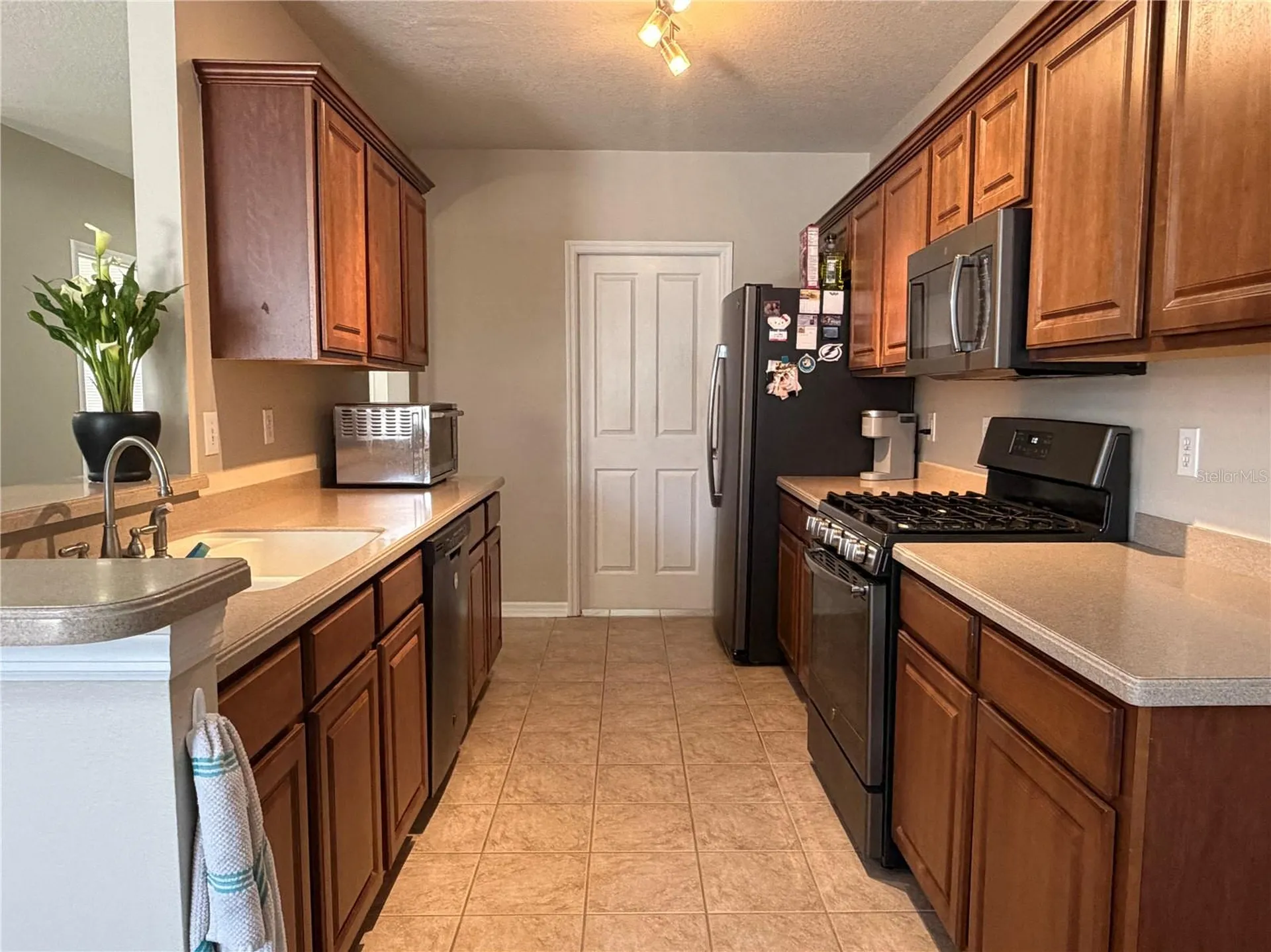 6129 Fishhawk Crossing Boulevard Lithia FL 33547