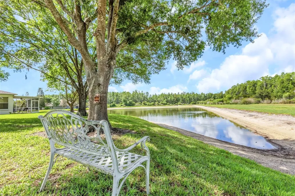19238 Weymouth Drive Land O Lakes FL 34638