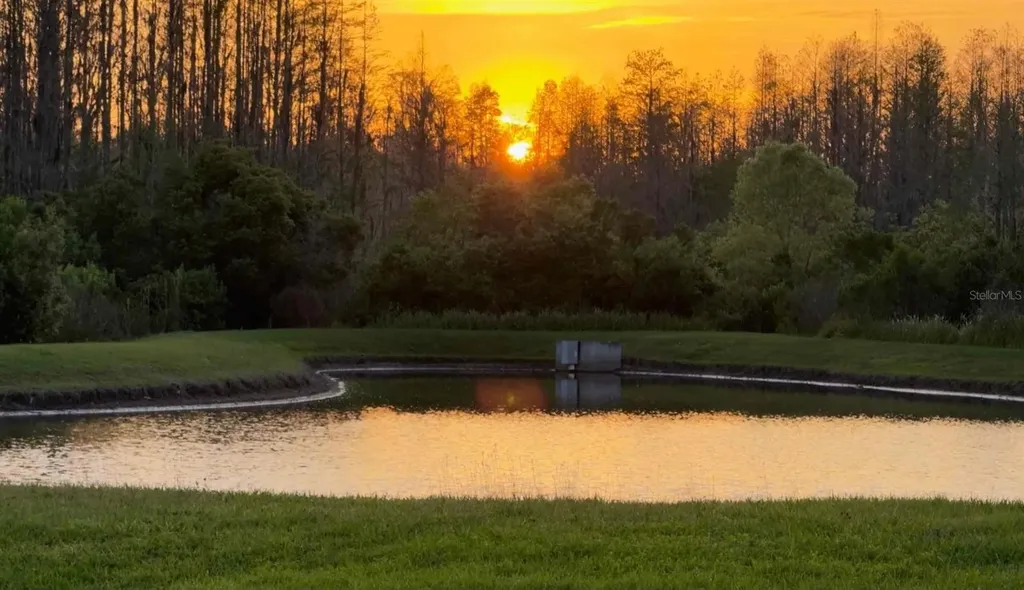 19238 Weymouth Drive Land O Lakes FL 34638