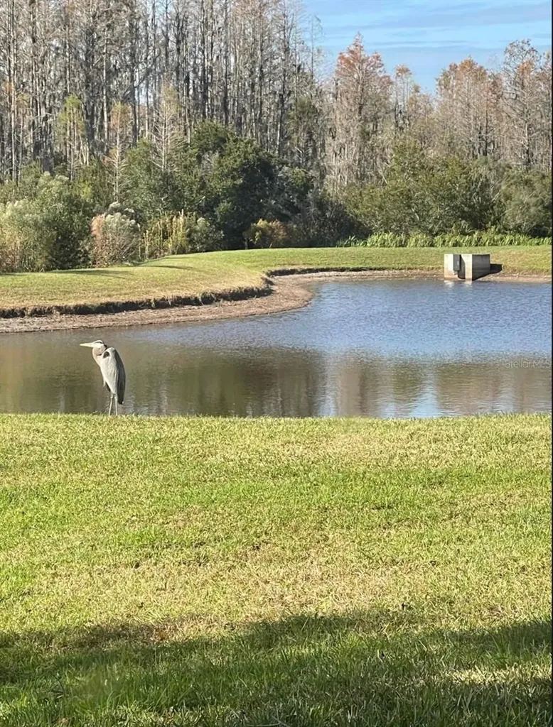 19238 Weymouth Drive Land O Lakes FL 34638