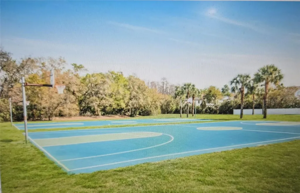 19238 Weymouth Drive Land O Lakes FL 34638