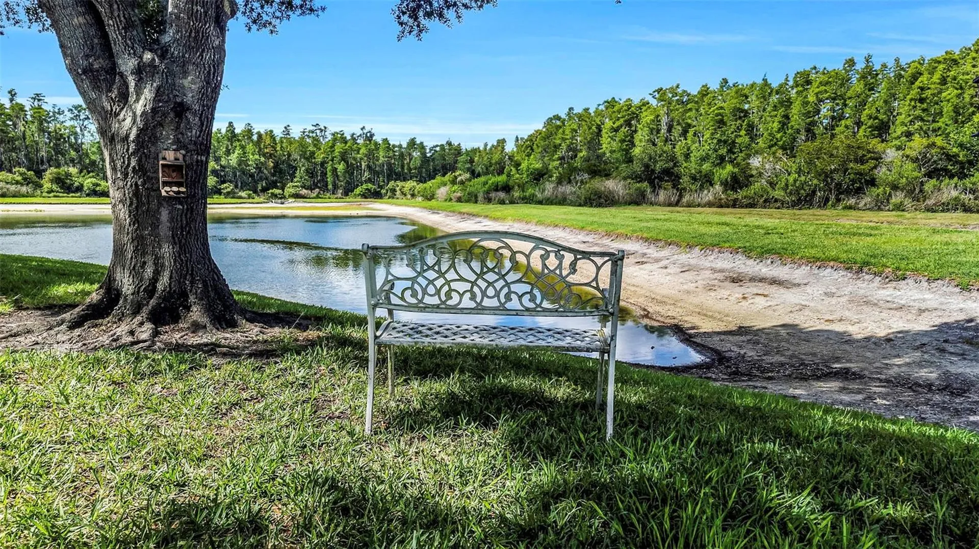 19238 Weymouth Drive Land O Lakes FL 34638