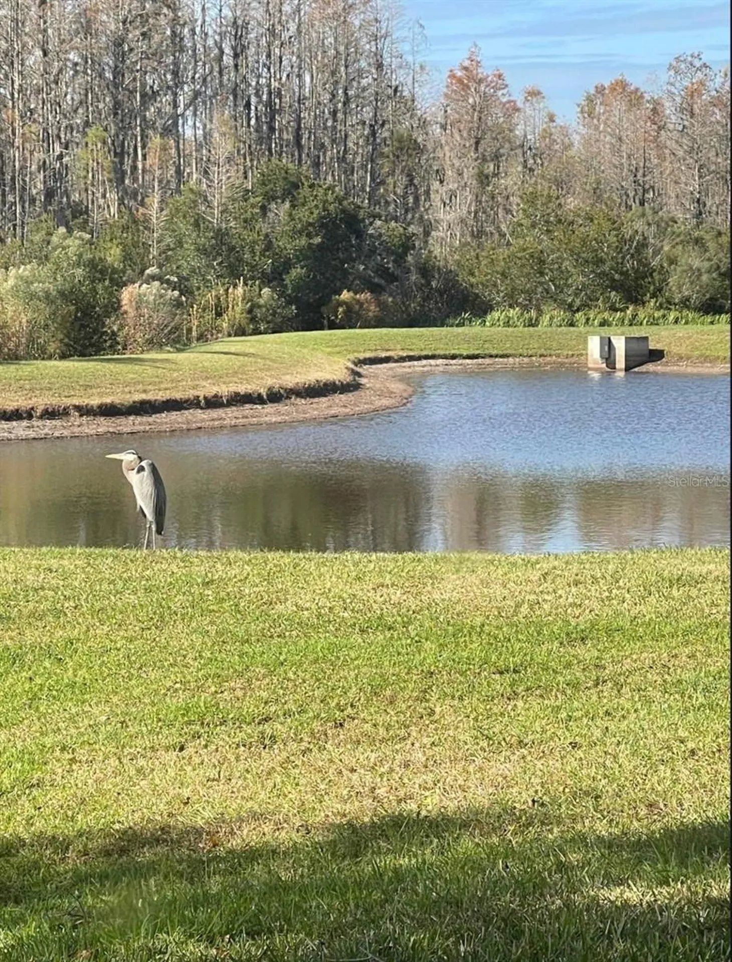 19238 Weymouth Drive Land O Lakes FL 34638