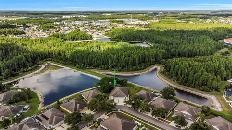 19238 Weymouth Drive Land O Lakes FL 34638