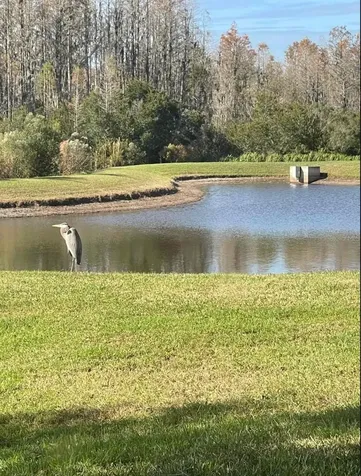 19238 Weymouth Drive Land O Lakes FL 34638