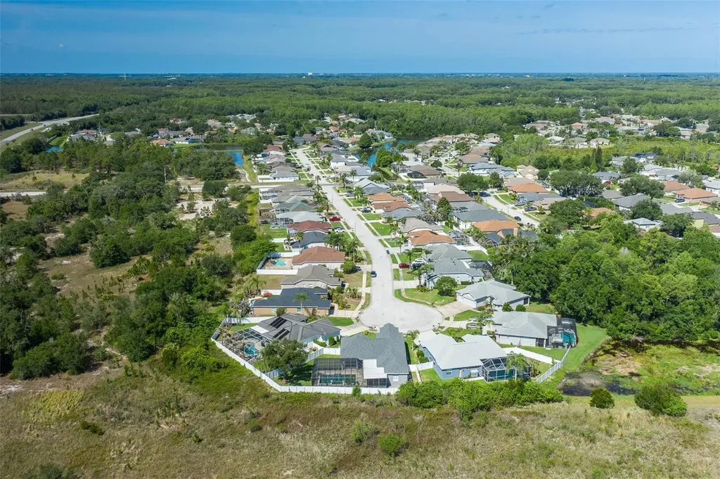 8918 Linebrook Drive Trinity FL 34655