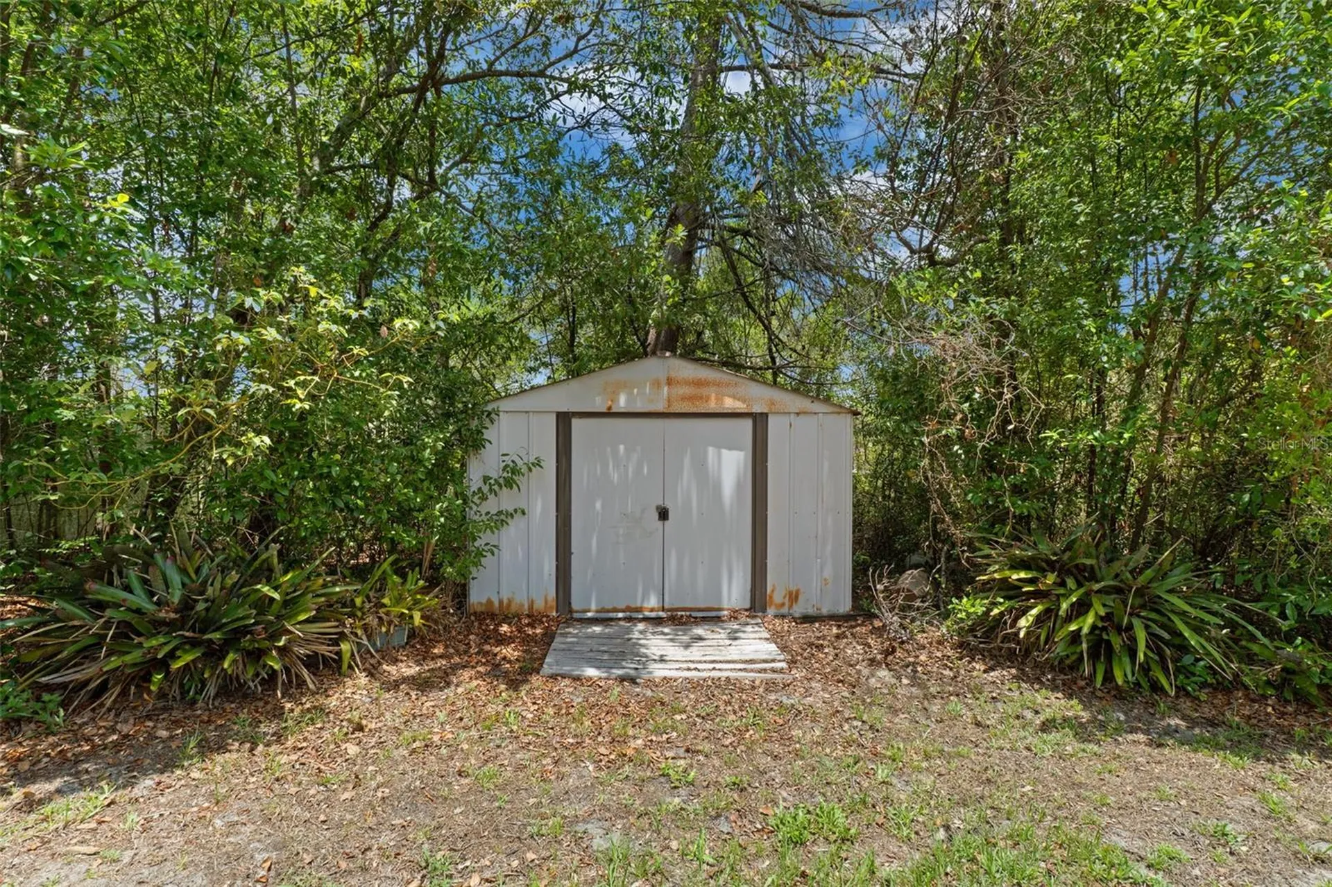13339 Brewster Road Spring Hill FL 34609