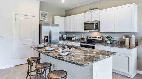 32311 Turtle Grace Loop Wesley Chapel FL 33545