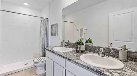 32311 Turtle Grace Loop Wesley Chapel FL 33545