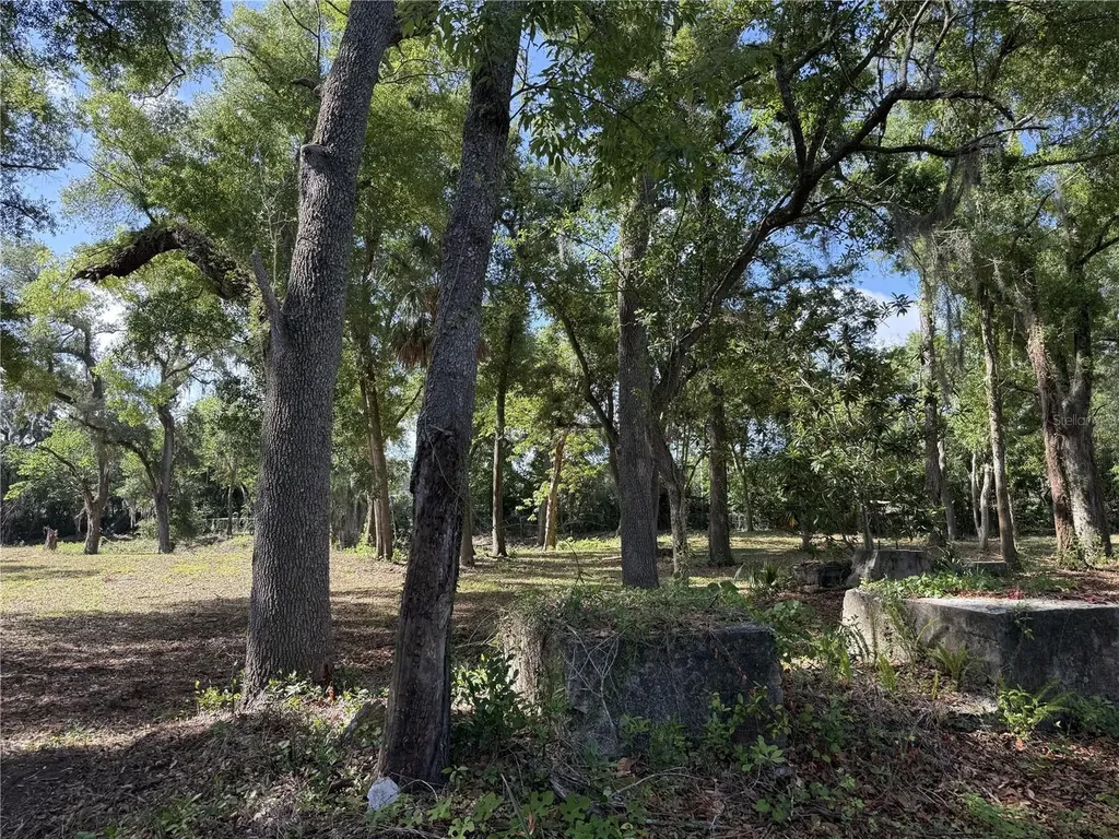 521 E Clay Avenue Brandon FL 33510