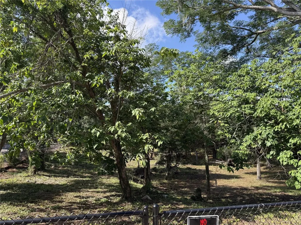521 E Clay Avenue Brandon FL 33510