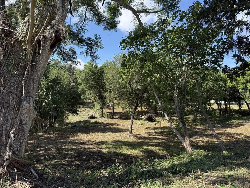 521 E Clay Avenue Brandon FL 33510