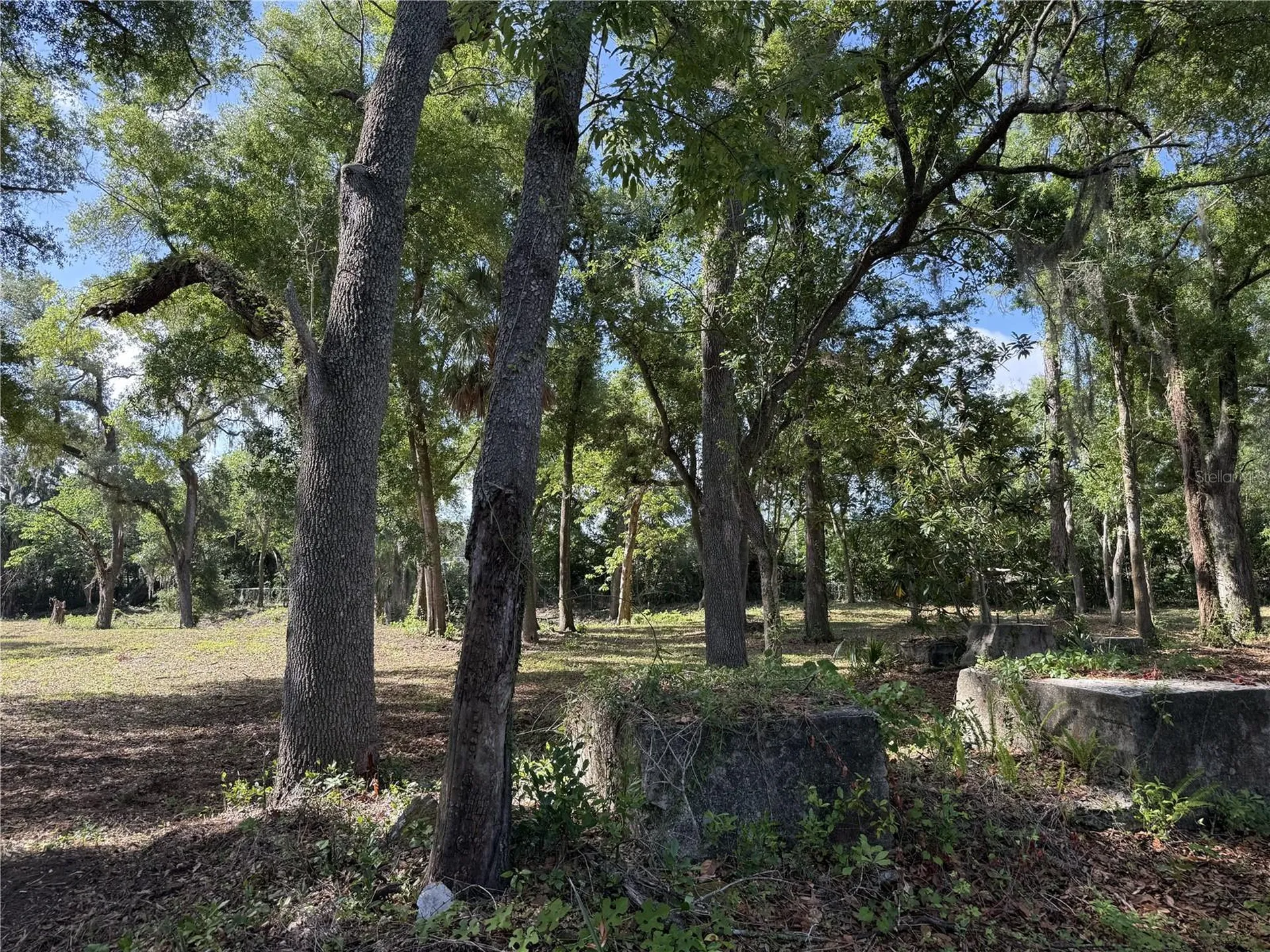 521 E Clay Avenue Brandon FL 33510
