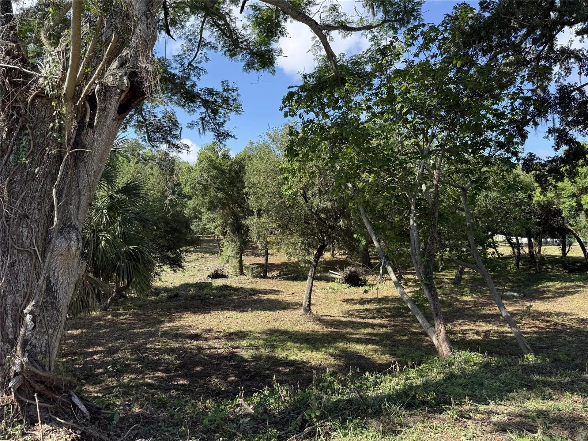 521 E Clay Avenue Brandon FL 33510