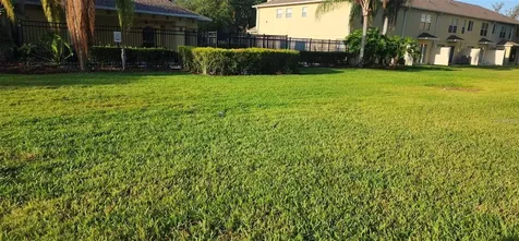 4514 Limerick Drive Tampa FL 33610