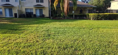 4514 Limerick Drive Tampa FL 33610