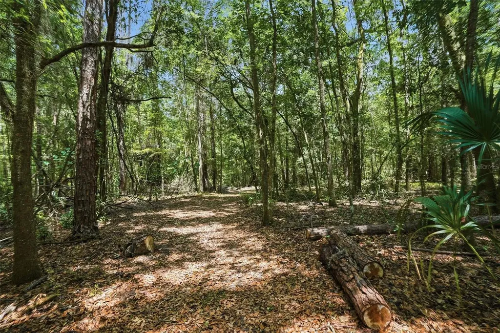 24050 Winding Creek Drive Brooksville FL 34601