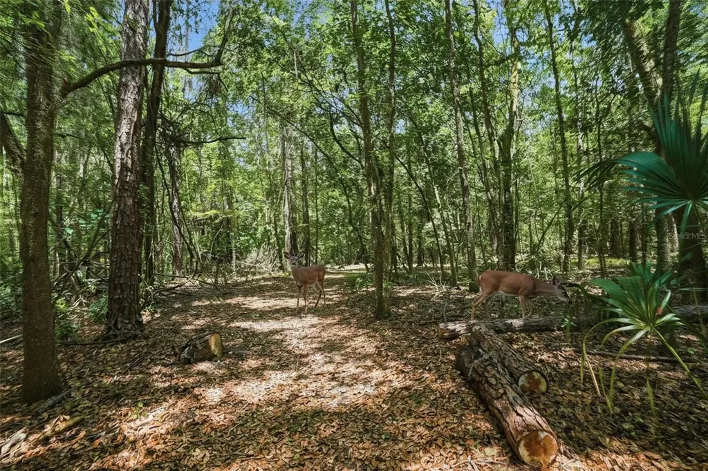 24050 Winding Creek Drive Brooksville FL 34601