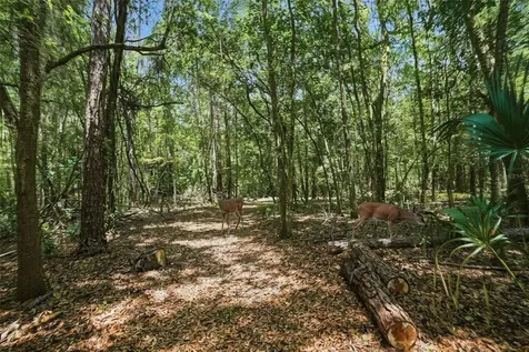 24050 Winding Creek Drive Brooksville FL 34601