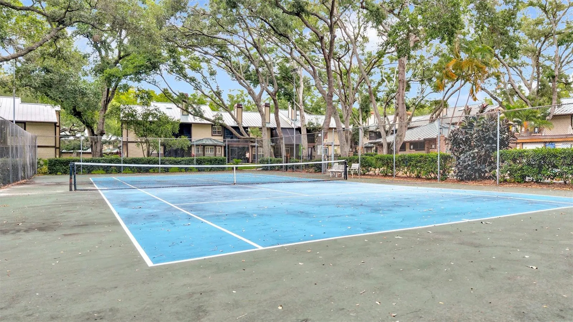1485 Mahogany Lane Palm Harbor FL 34683
