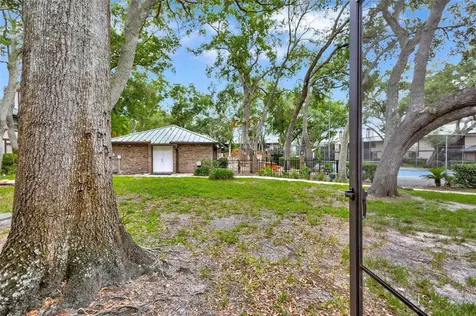 1485 Mahogany Lane Palm Harbor FL 34683