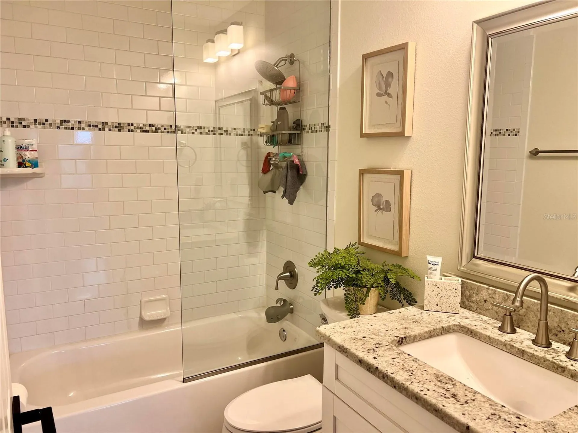4613 S Ferdinand Avenue Tampa FL 33611