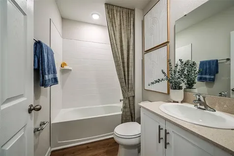 31731 Oyster Trellis Lane Wesley Chapel FL 33545