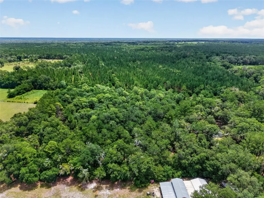 1504 NW 156th Avenue Gainesville FL 32609