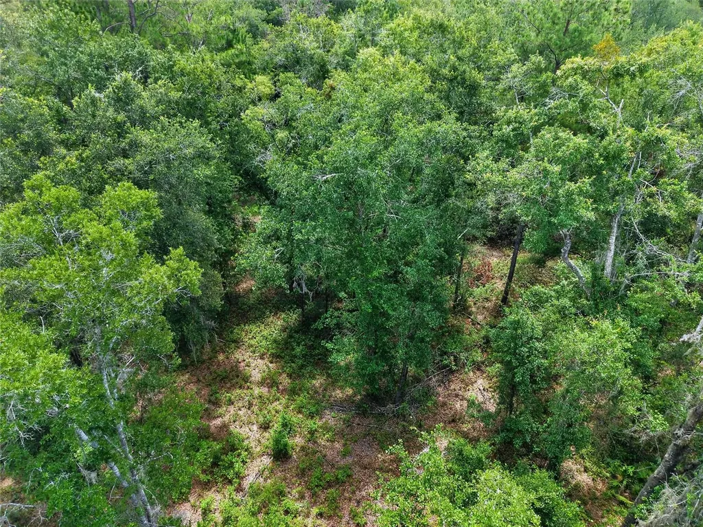 1504 NW 156th Avenue Gainesville FL 32609