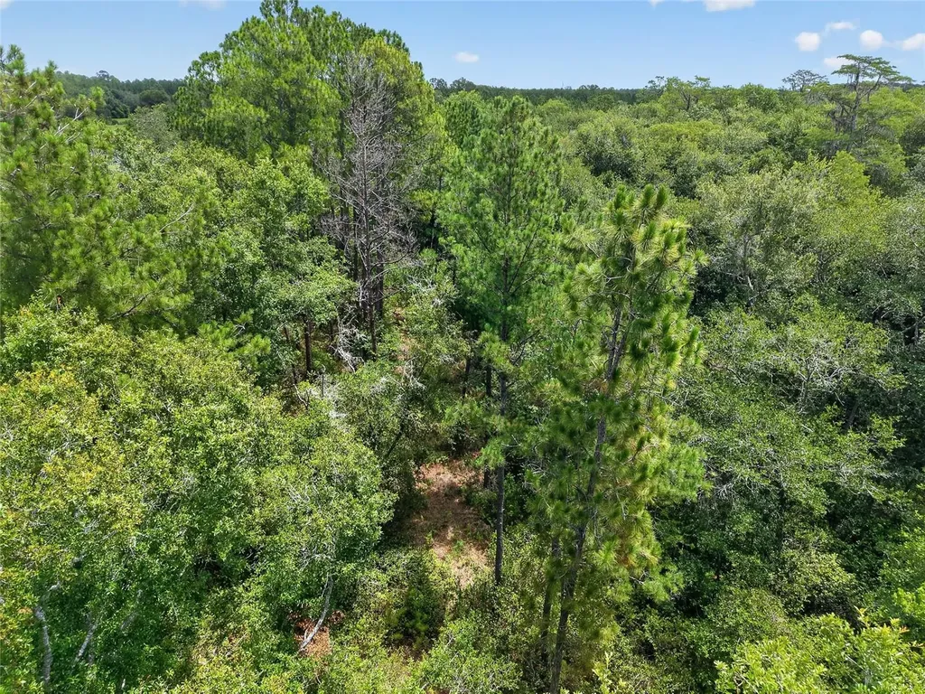1504 NW 156th Avenue Gainesville FL 32609