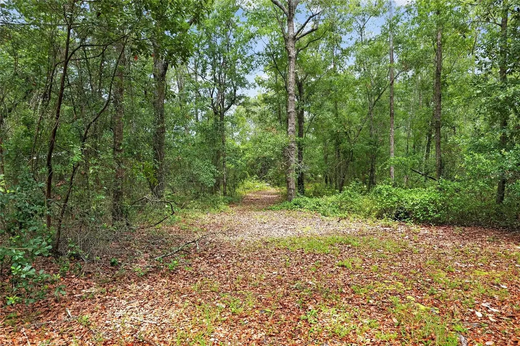 1504 NW 156th Avenue Gainesville FL 32609