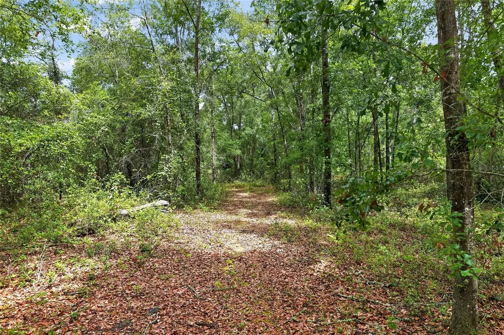 1504 NW 156th Avenue Gainesville FL 32609